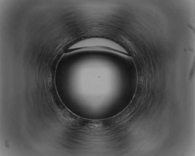 X0000091220552200709061501