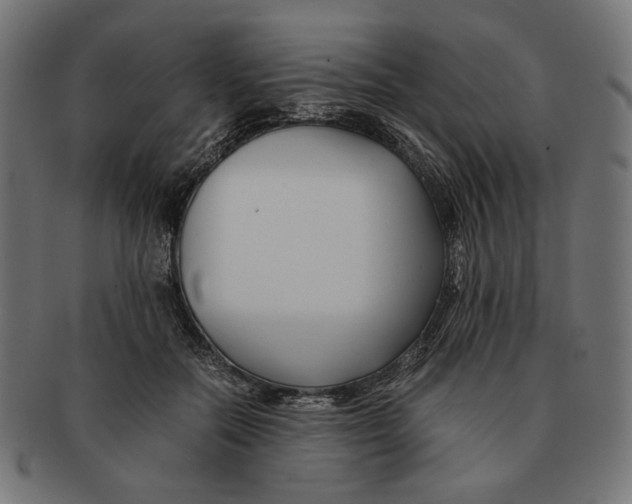 X0000091220554200709061501