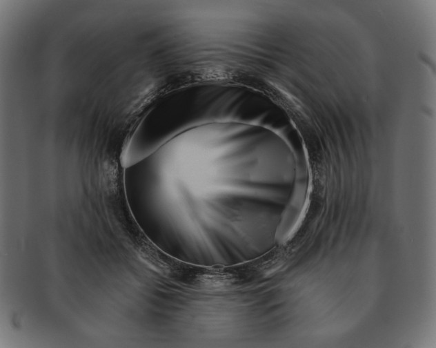 X0000091220556200709061502