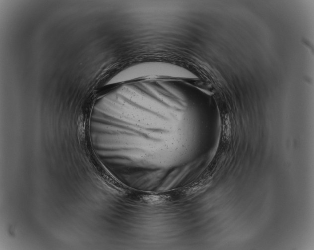 X0000091220558200709061502