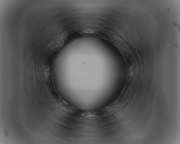 X0000091220559200709061502