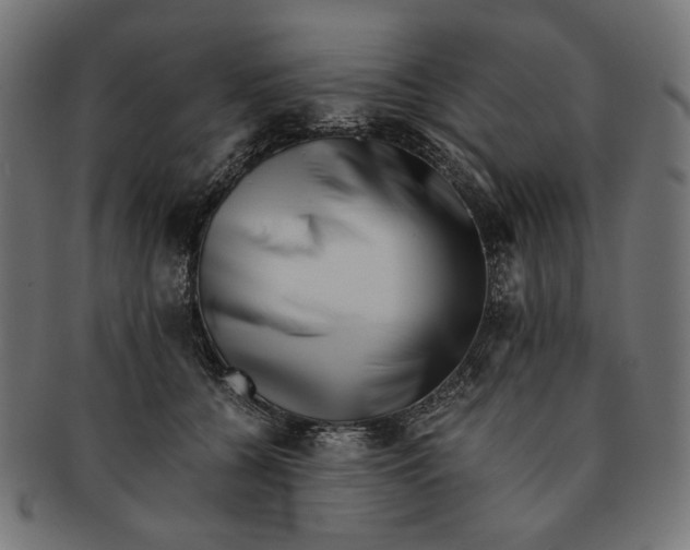 X0000091220560200709061502