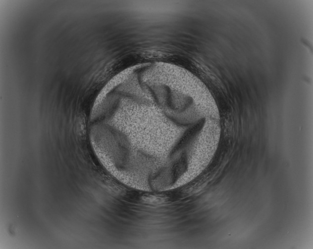 X0000091220561200709061502