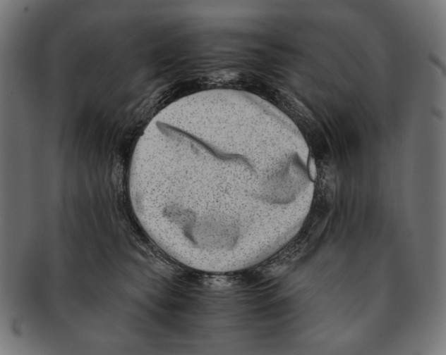 X0000091220565200709061502