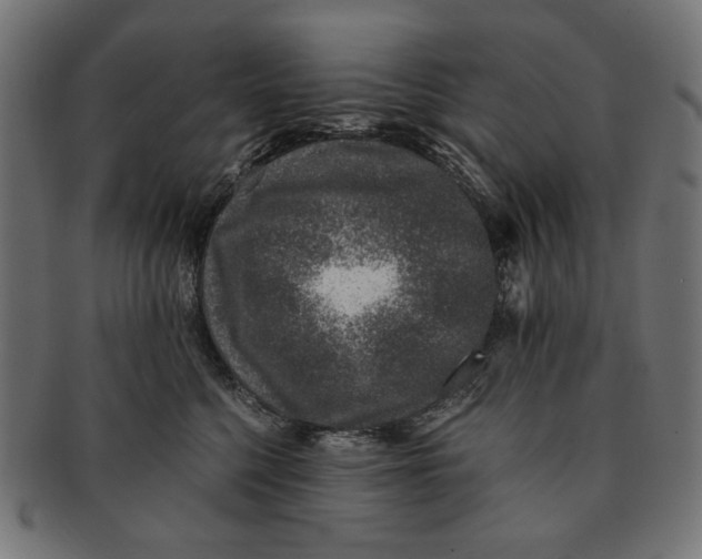 X0000091220568200709061502