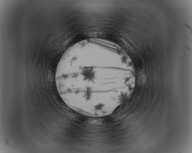 X0000091220569200709061502