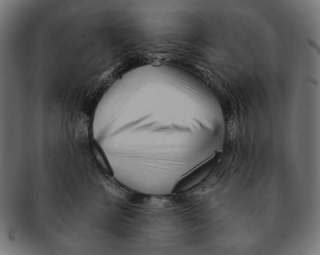 X0000091220570200709061502