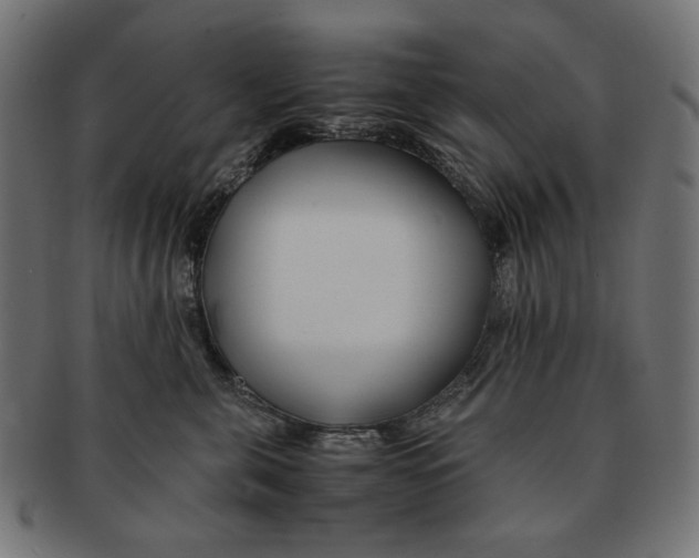 X0000091220571200709061502