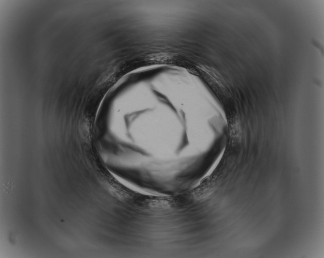 X0000091220572200709061502