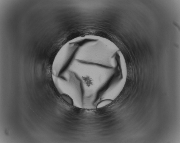 X0000091220573200709061502