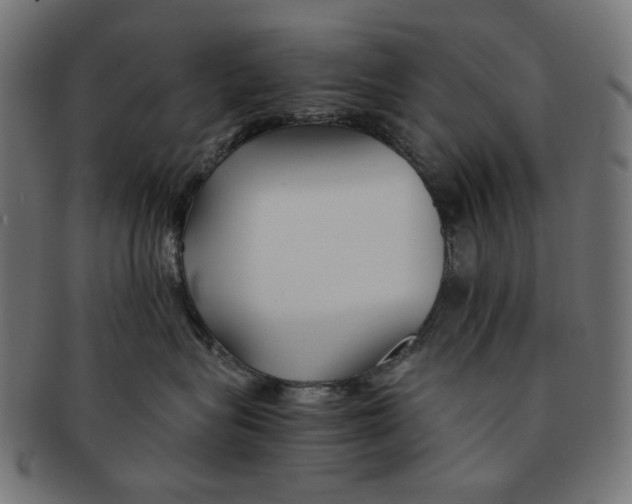 X0000091220575200709061502