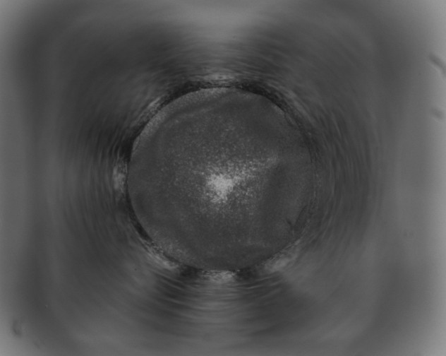 X0000091220576200709061502