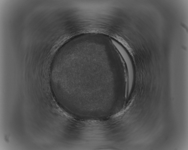 X0000091220577200709061501