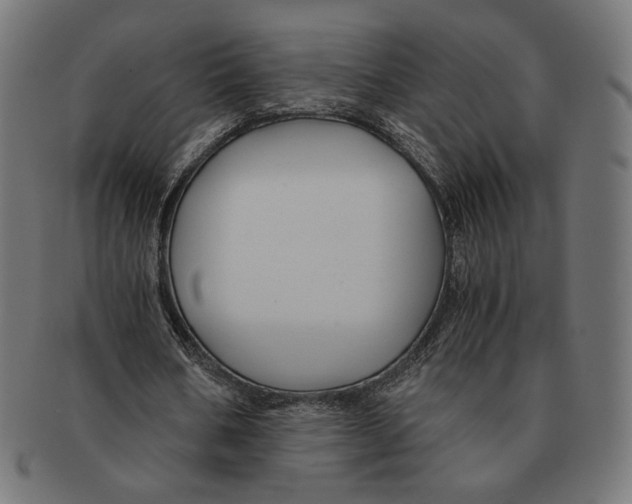 X0000091220578200709061501