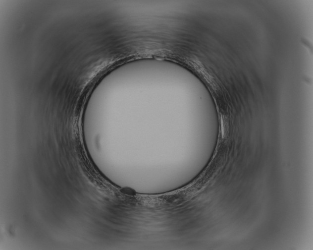 X0000091220579200709061501