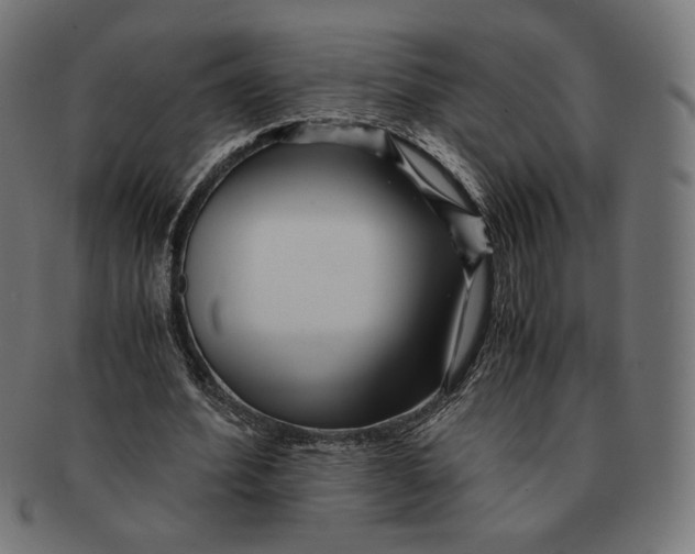 X0000091220580200709061501