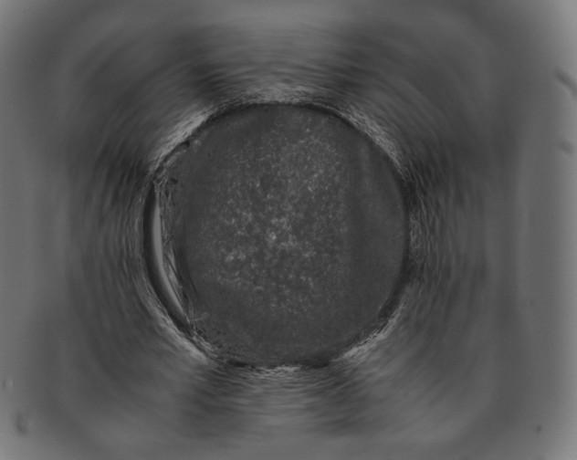 X0000091220581200709061501