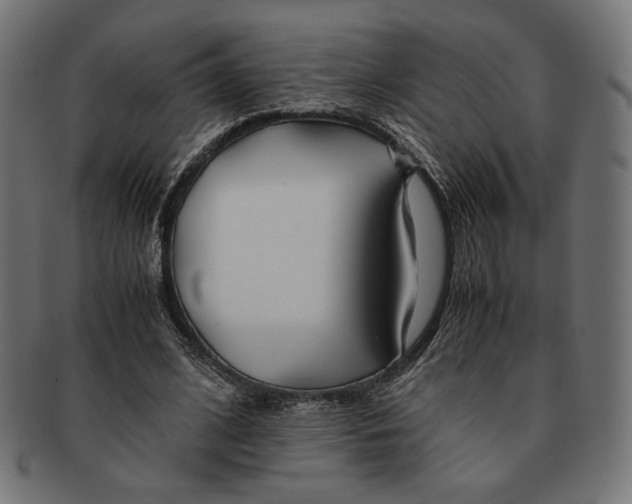 X0000091220584200709061501