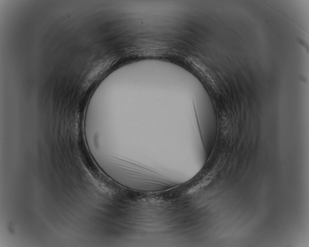 X0000091220586200709061501