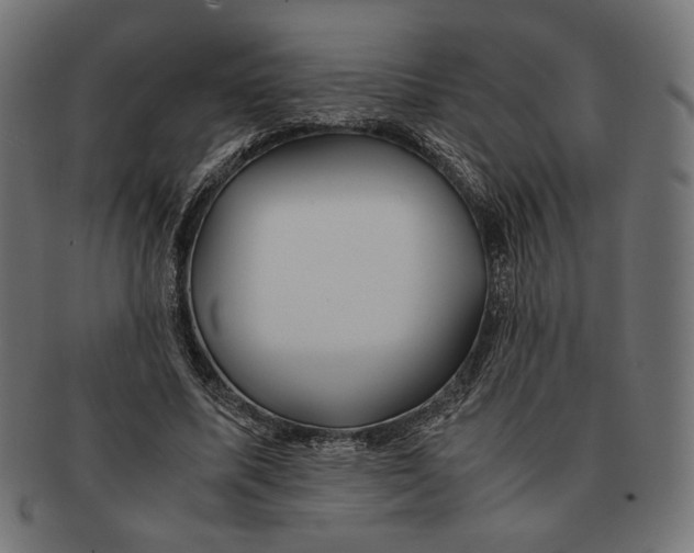 X0000091220587200709061501