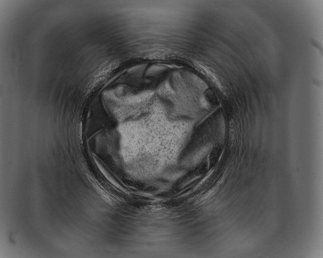 X0000091220589200709061501