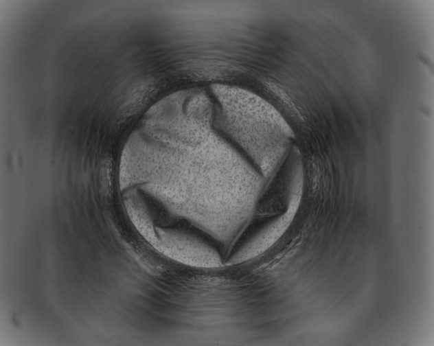 X0000091220590200709061501