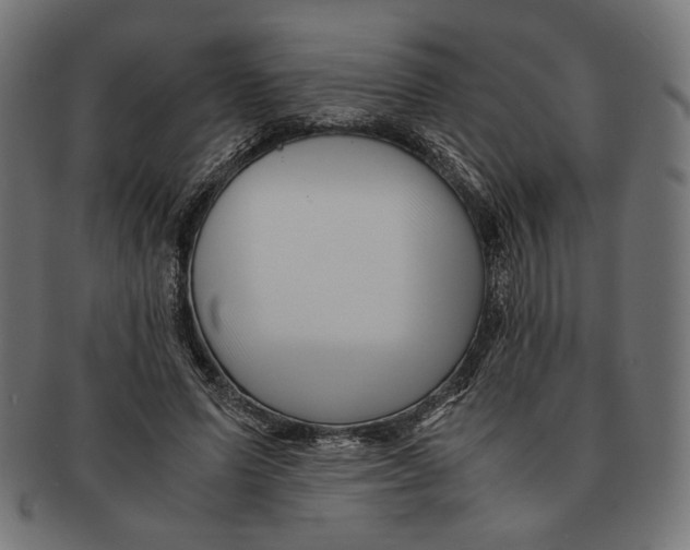 X0000091220591200709061501