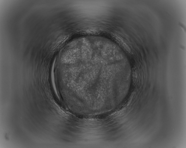 X0000091220593200709061501