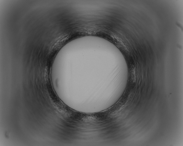 X0000091220594200709061501