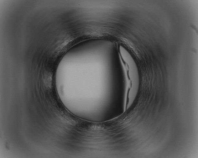 X0000091220596200709061501