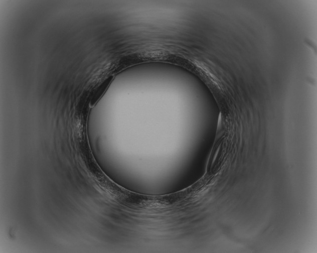 X0000091220597200709061501