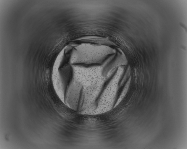 X0000091220598200709061501