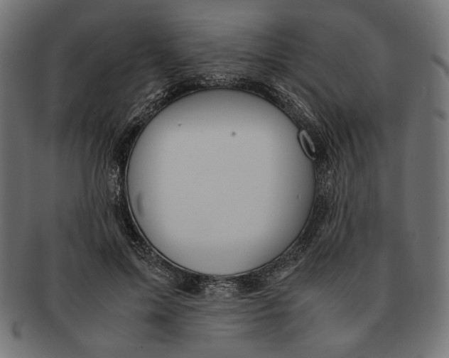 X0000091220599200709061501