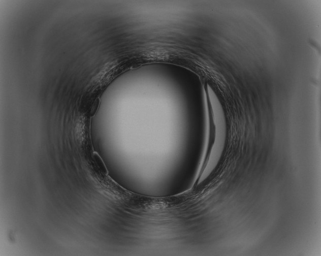 X0000091220600200709061501