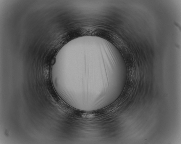 X0000091220602200709061501