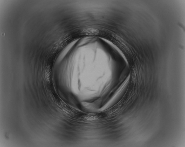 X0000091220604200709061501