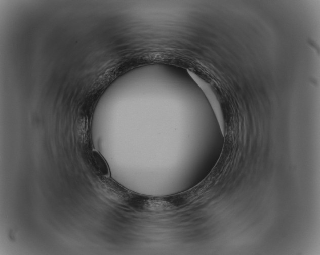 X0000091220605200709061501