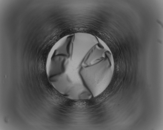 X0000091220606200709061501