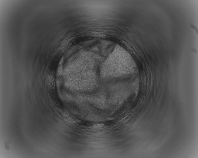 X0000091220609200709061501