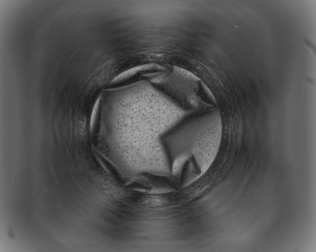 X0000091220610200709061501