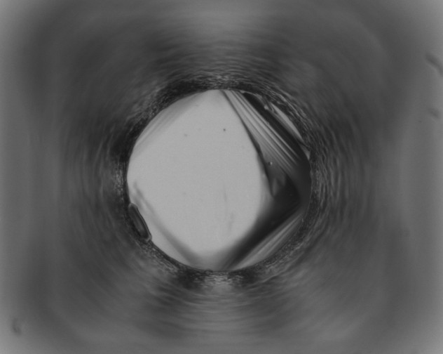 X0000091220613200709061501