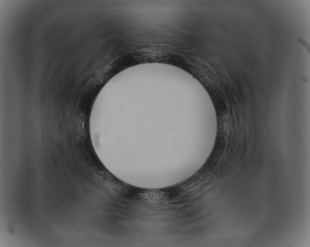 X0000091220615200709061501