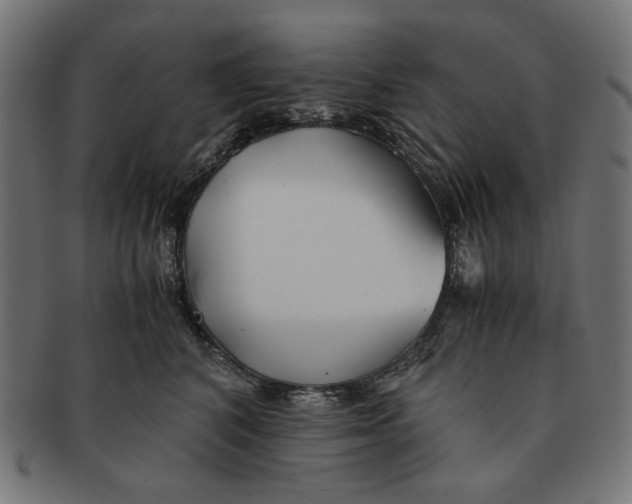 X0000091220616200709061501