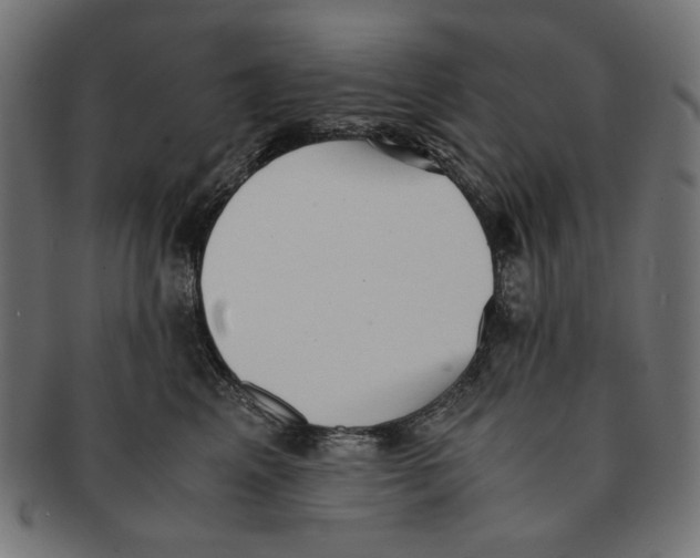 X0000091220617200709061501