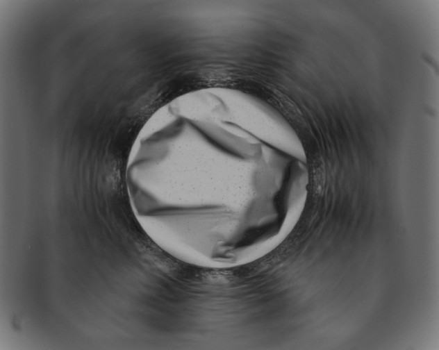 X0000091220618200709061501