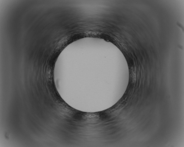 X0000091220619200709061501