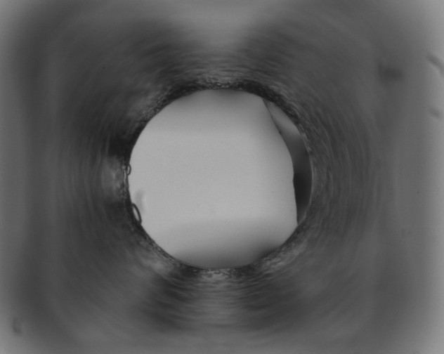 X0000091220624200709061501