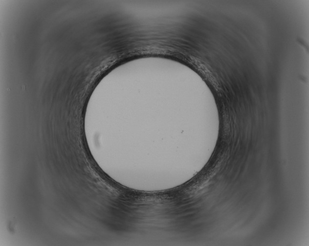 X0000091220625200709061500