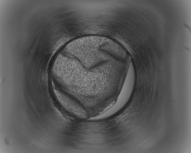 X0000091220626200709061500