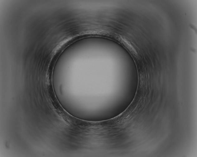 X0000091220628200709061500